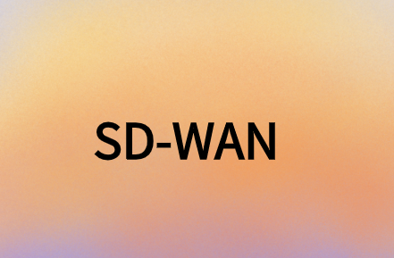 SD-WAN提供安全、靈活且經(jīng)濟(jì)高效的解決方案