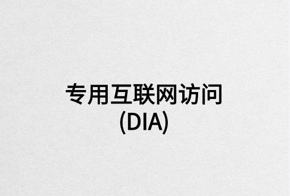 專(zhuān)用互聯(lián)網(wǎng)訪(fǎng)問(wèn)(DIA)