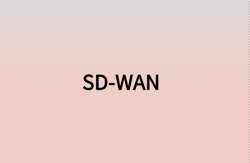 對(duì)企業(yè)而言，SD-WAN意味著什么?