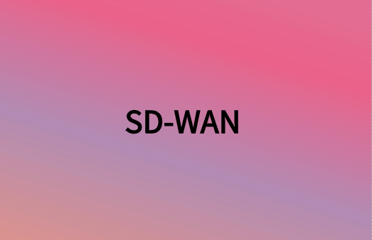 除連接性外，SD-WAN還提供很多網(wǎng)絡(luò)優(yōu)勢